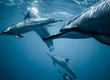 开云体育下载-获赛季首球李圣龙不满自己表现：希望更快进入状态